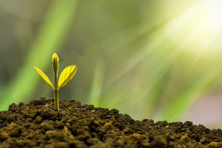 Strategies for Sustainable Business Growth and Success